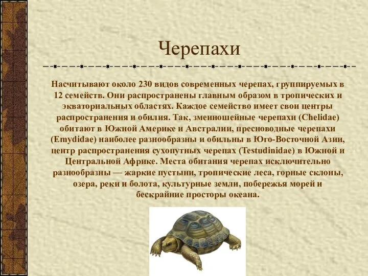 Черепахи Насчитывают около 230 видов современных черепах, группируемых в 12 семейств.