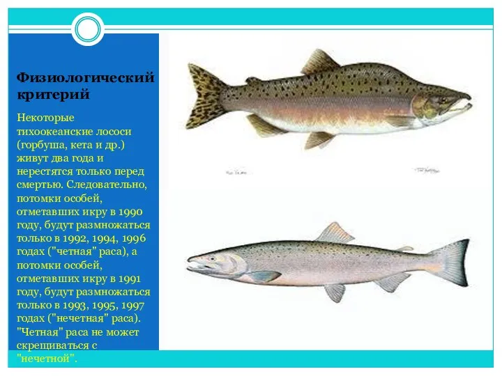 Физиологический критерий Некоторые тихоокеанские лососи (горбуша, кета и др.) живут два