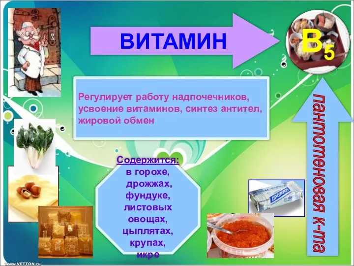 ВИТАМИН пантотеновая к-та Регулирует работу надпочечников, усвоение витаминов, синтез антител, жировой