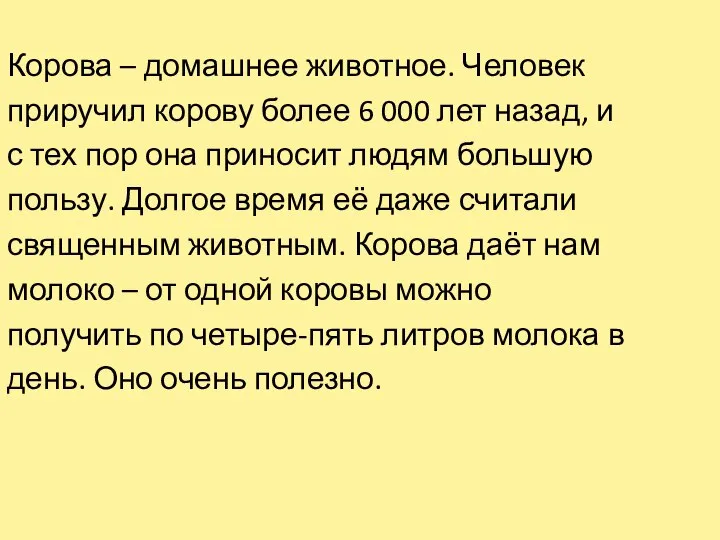 Корова – домашнее животное. Человек приручил корову более 6 000 лет