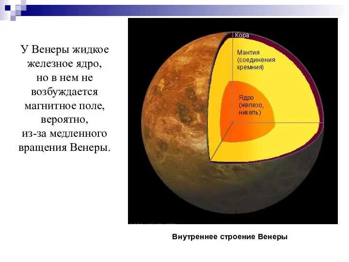 У Венеры жидкое железное ядро, но в нем не возбуждается магнитное