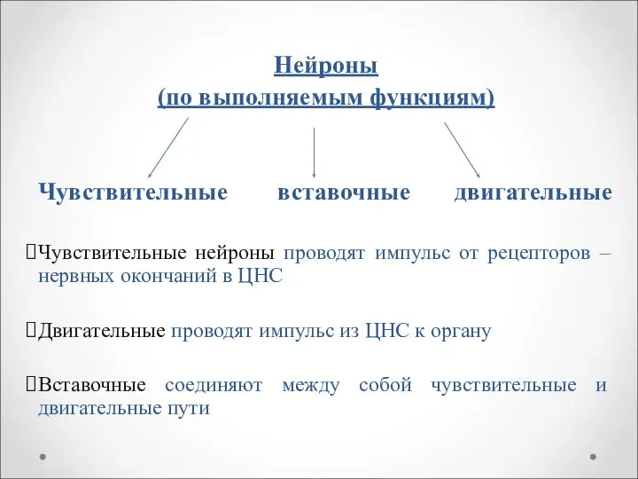 Нейроны (по выполняемым функциям) Чувствительные вставочные двигательные Чувствительные нейроны проводят импульс