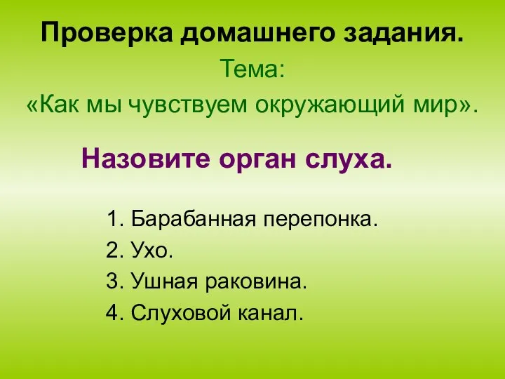 Проверка домашнего задания. Тема: «Как мы чувствуем окружающий мир». 1. Барабанная