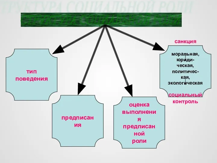 СТРУКТУРА СОЦИАЛЬНОЙ РОЛИ тип поведения предписания оценка выполнения предписанной роли санкция