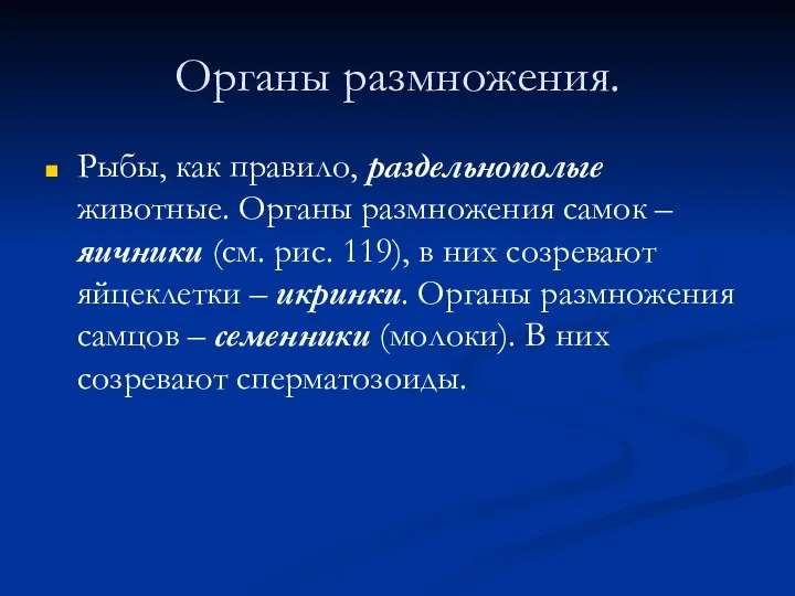 Органы размножения. Рыбы, как правило, раздельнополые животные. Органы размножения самок –