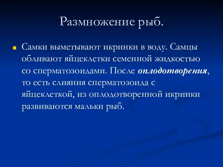 Размножение рыб. Самки выметывают икринки в воду. Самцы обливают яйцеклетки семенной