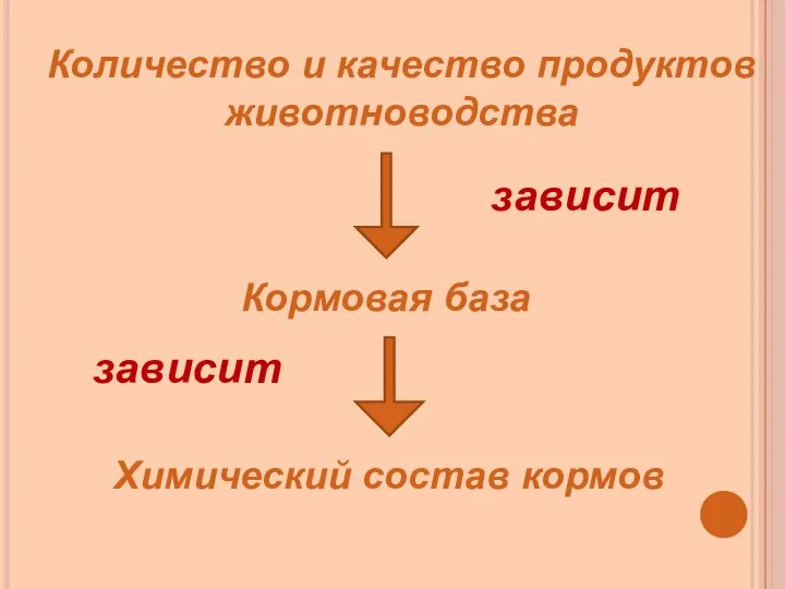 Количество и качество продуктов животноводства зависит Кормовая база зависит Химический состав кормов