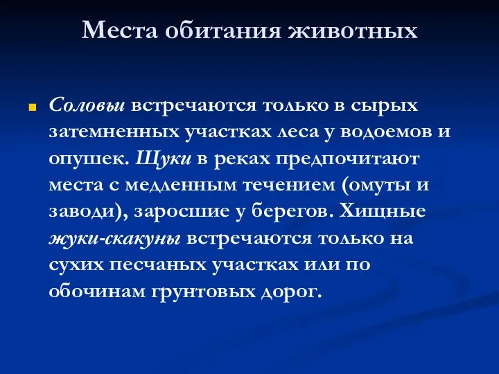 Места обитания животных Соловьи встречаются только в сырых затемненных участках леса