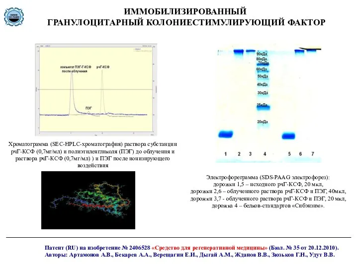 Хроматограмма (SEC-HPLC-хроматография) раствора субстанции рчГ-КСФ (0,7мг/мл) и полиэтиленгликоля (ПЭГ) до облучения