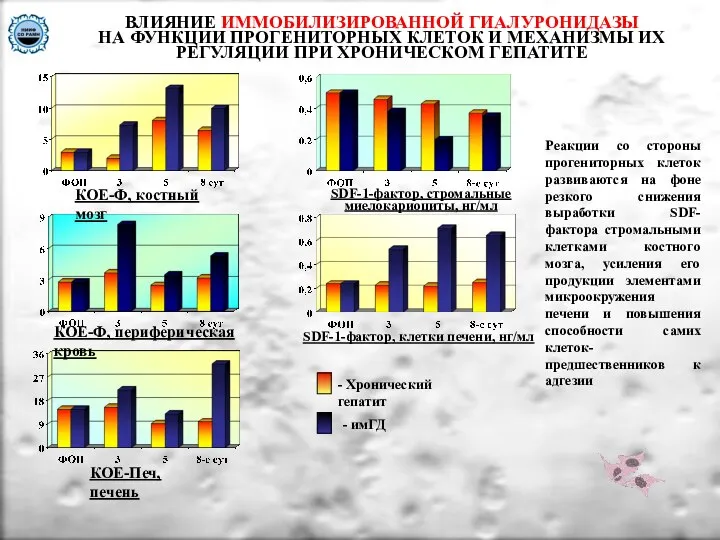 ВЛИЯНИЕ ИММОБИЛИЗИРОВАННОЙ ГИАЛУРОНИДАЗЫ НА ФУНКЦИИ ПРОГЕНИТОРНЫХ КЛЕТОК И МЕХАНИЗМЫ ИХ РЕГУЛЯЦИИ