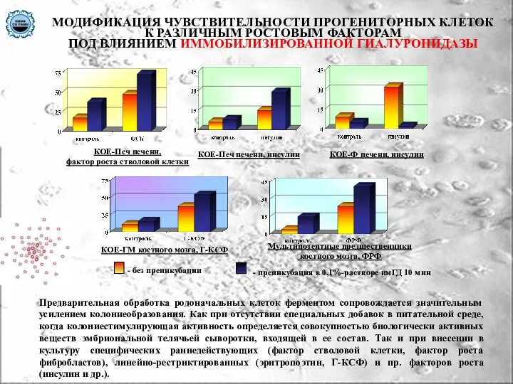 МОДИФИКАЦИЯ ЧУВСТВИТЕЛЬНОСТИ ПРОГЕНИТОРНЫХ КЛЕТОК К РАЗЛИЧНЫМ РОСТОВЫМ ФАКТОРАМ ПОД ВЛИЯНИЕМ ИММОБИЛИЗИРОВАННОЙ