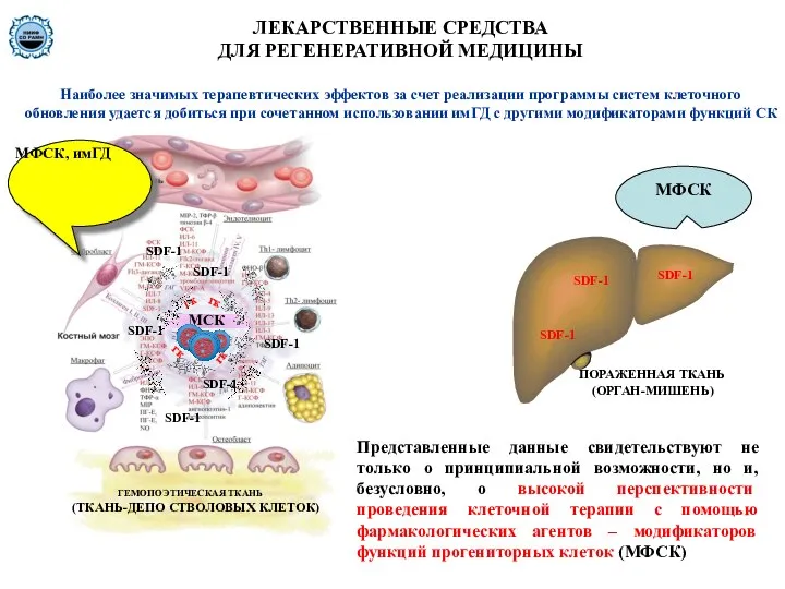 ГК ГК ГК ГК ГЕМОПОЭТИЧЕСКАЯ ТКАНЬ (ТКАНЬ-ДЕПО СТВОЛОВЫХ КЛЕТОК) ПОРАЖЕННАЯ ТКАНЬ