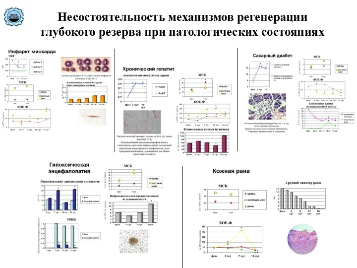 Несостоятельность механизмов регенерации глубокого резерва при патологических состояниях