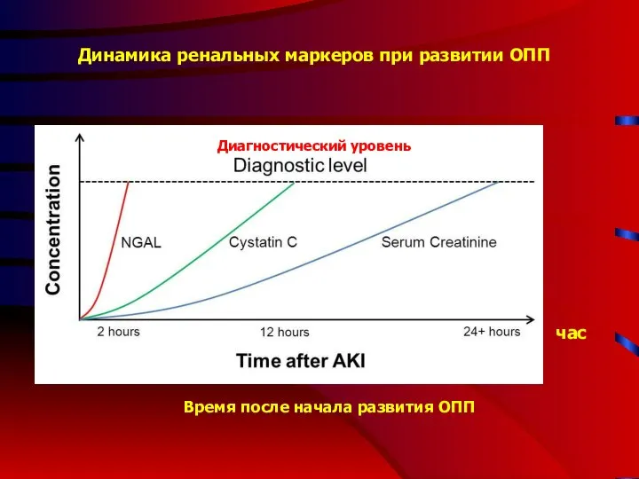 Динамика ренальных маркеров при развитии ОПП Диагностический уровень Время после начала развития ОПП час