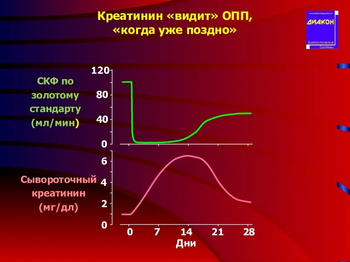 Креатинин «видит» ОПП, «когда уже поздно» 120 40 80 0 СКФ