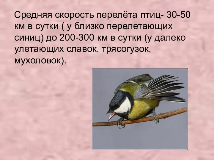 Средняя скорость перелёта птиц- 30-50 км в сутки ( у близко