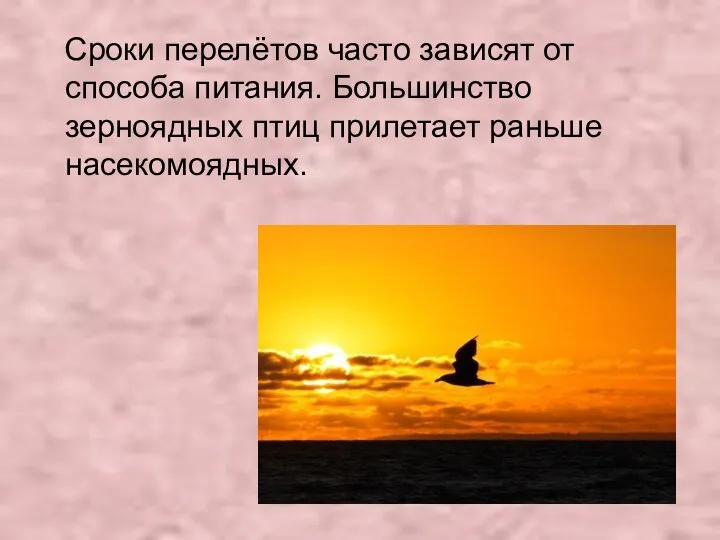 Сроки перелётов часто зависят от способа питания. Большинство зерноядных птиц прилетает раньше насекомоядных.