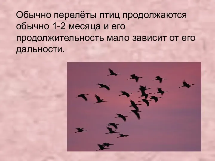 Обычно перелёты птиц продолжаются обычно 1-2 месяца и его продолжительность мало зависит от его дальности.