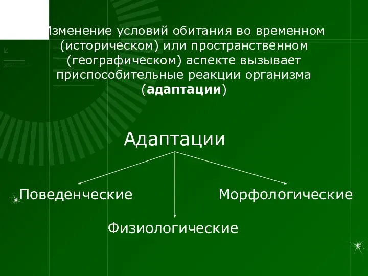 Изменение условий обитания во временном (историческом) или пространственном (географическом) аспекте вызывает