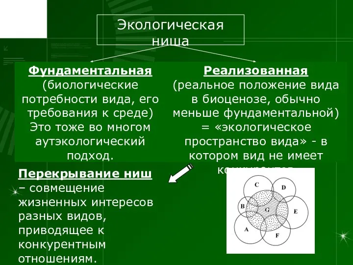 Фундаментальная (биологические потребности вида, его требования к среде) Это тоже во