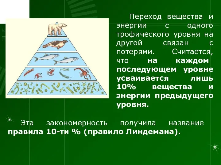 Переход вещества и энергии с одного трофического уровня на другой связан