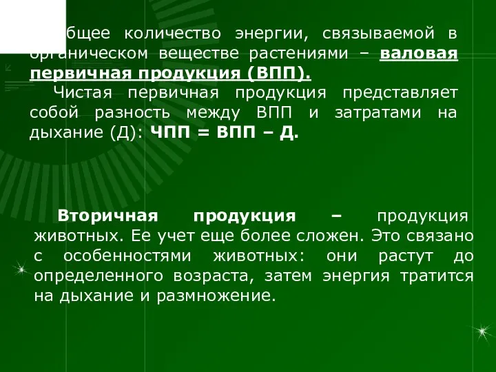 Общее количество энергии, связываемой в органическом веществе растениями – валовая первичная