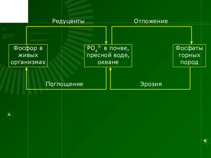 РО43- в почве, пресной воде, океане Фосфаты горных пород Фосфор в