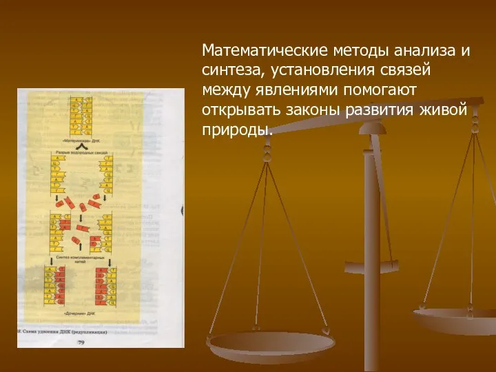 Математические методы анализа и синтеза, установления связей между явлениями помогают открывать законы развития живой природы.