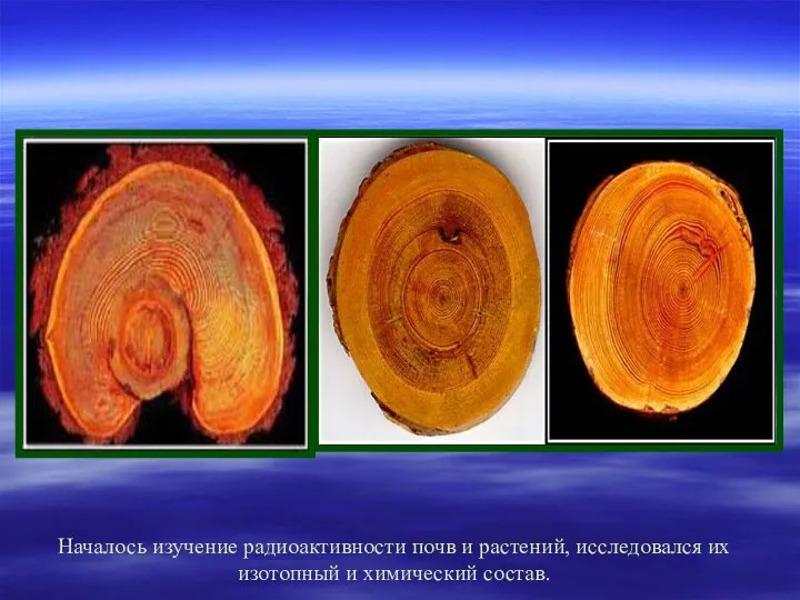 Началось изучение радиоактивности почв и растений, исследовался их изотопный и химический состав.