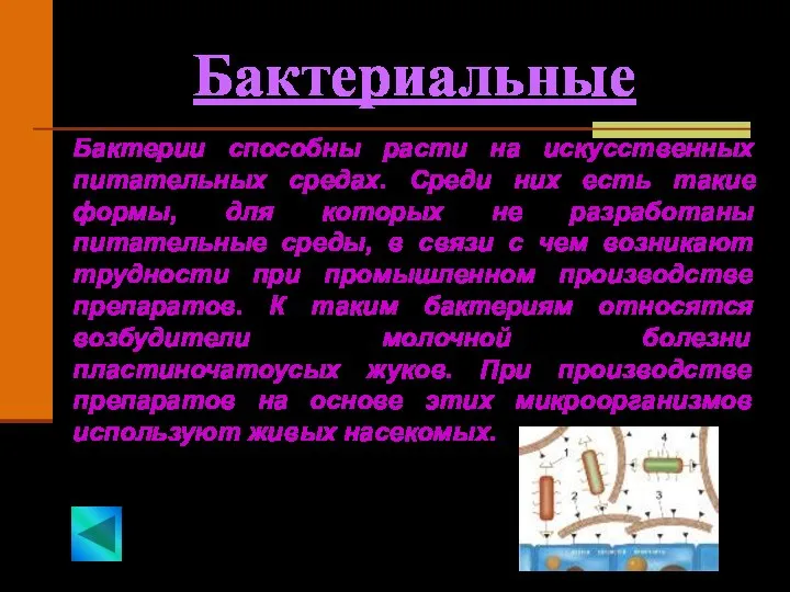 Бактериальные Бактерии способны расти на искусственных питательных средах. Среди них есть