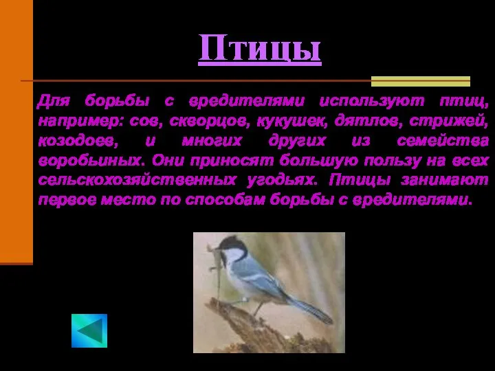 Птицы Для борьбы с вредителями используют птиц, например: сов, скворцов, кукушек,