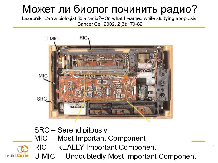 Может ли биолог починить радио? Lazebnik, Can a biologist fix a