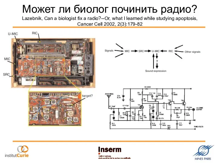 Может ли биолог починить радио? Lazebnik, Can a biologist fix a