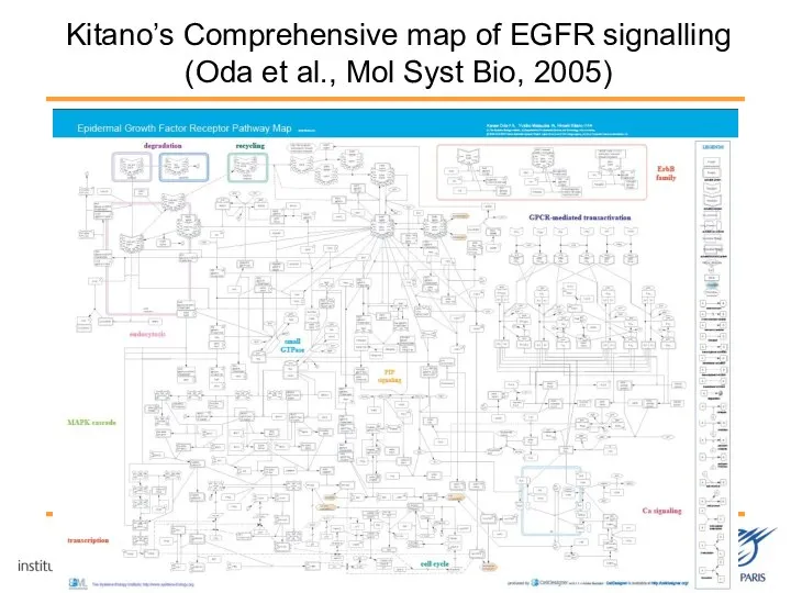 Kitano’s Comprehensive map of EGFR signalling (Oda et al., Mol Syst Bio, 2005)