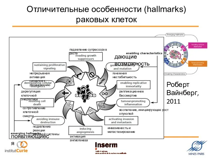 Отличительные особенности (hallmarks) раковых клеток дающие возможность появляющиеся подавление супрессоров роста