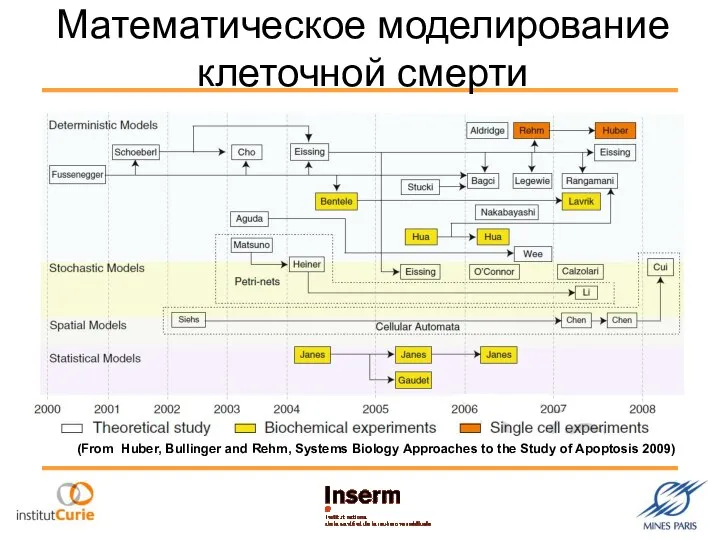 Математическое моделирование клеточной смерти (From Huber, Bullinger and Rehm, Systems Biology