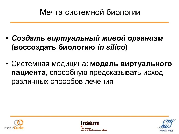 Мечта системной биологии Создать виртуальный живой организм (воссоздать биологию in silico)