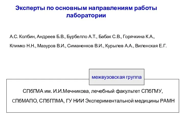 Эксперты по основным направлениям работы лаборатории А.С. Колбин, Андреев Б.В., Бурбелло