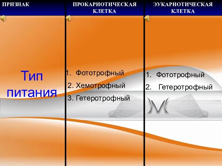 Тип питания Фототрофный 2. Хемотрофный 3. Гетеротрофный Фототрофный Гетеротрофный