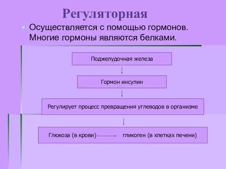 Регуляторная Осуществляется с помощью гормонов. Многие гормоны являются белками. Поджелудочная железа