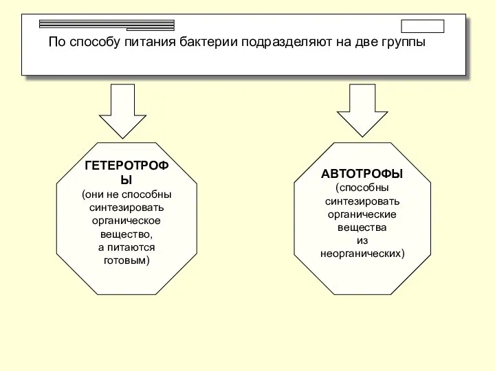 По способу питания бактерии подразделяют на две группы ГЕТЕРОТРОФЫ (они не