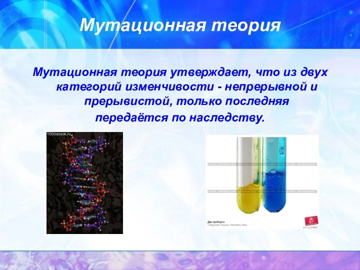 Мутационная теория Мутационная теория утверждает, что из двух категорий изменчивости -