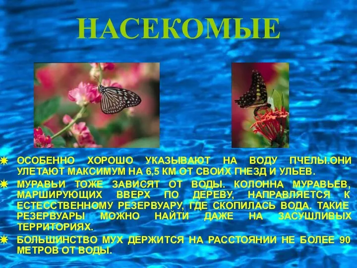 НАСЕКОМЫЕ ОСОБЕННО ХОРОШО УКАЗЫВАЮТ НА ВОДУ ПЧЕЛЫ.ОНИ УЛЕТАЮТ МАКСИМУМ НА 6,5