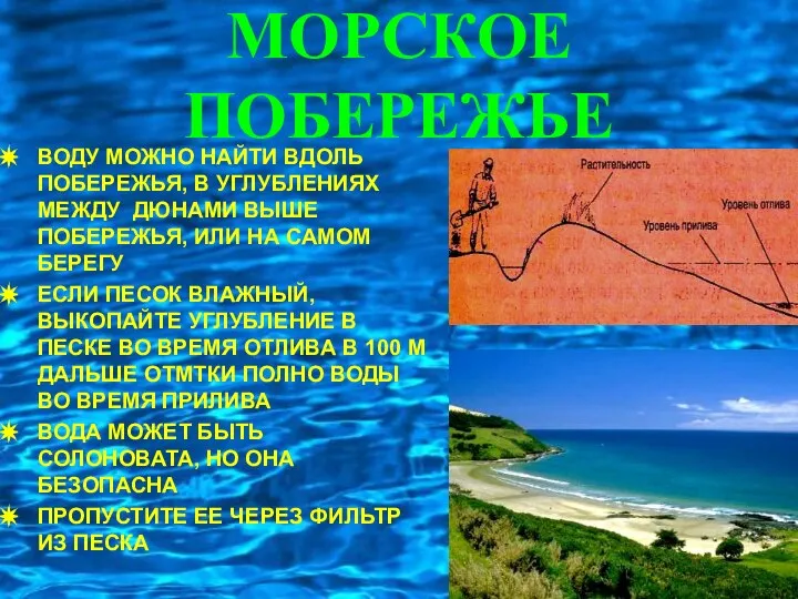 МОРСКОЕ ПОБЕРЕЖЬЕ ВОДУ МОЖНО НАЙТИ ВДОЛЬ ПОБЕРЕЖЬЯ, В УГЛУБЛЕНИЯХ МЕЖДУ ДЮНАМИ