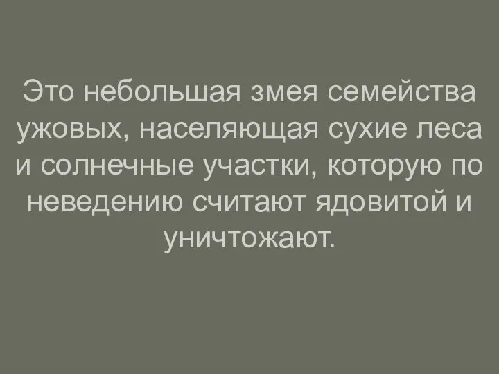 Это небольшая змея семейства ужовых, населяющая сухие леса и солнечные участки,