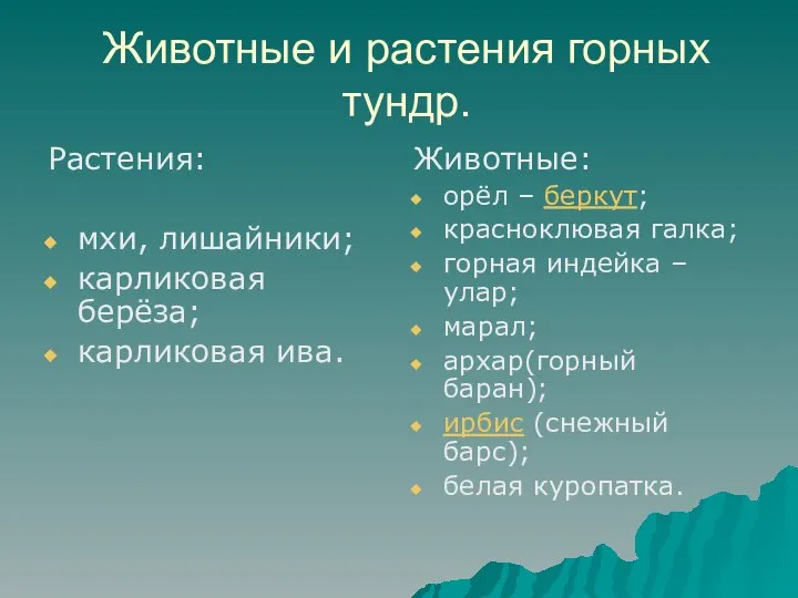 Животные и растения горных тундр. Растения: мхи, лишайники; карликовая берёза; карликовая