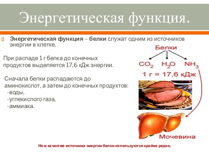 Энергетическая функция. Энергетическая функция – белки служат одним из источников энергии