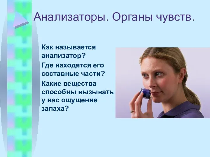 Анализаторы. Органы чувств. Как называется анализатор? Где находятся его составные части?