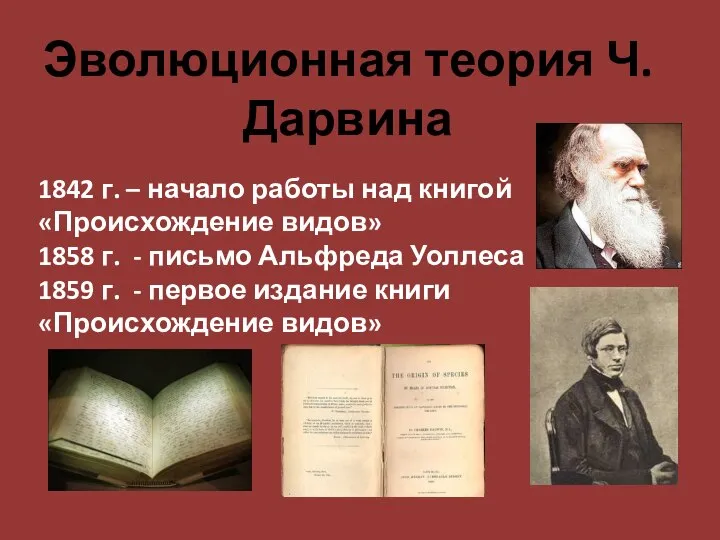 Эволюционная теория Ч. Дарвина 1842 г. – начало работы над книгой