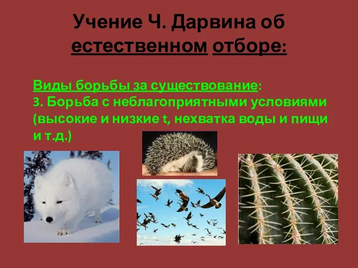 Учение Ч. Дарвина об естественном отборе: Виды борьбы за существование: 3.